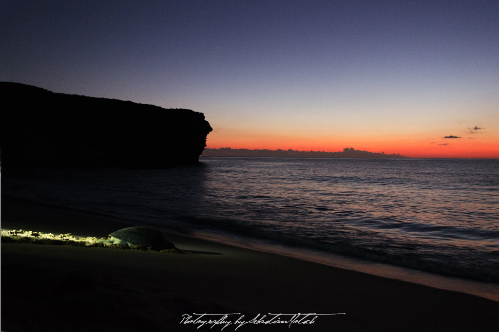 Ras-al-Jinz Turtle Reserve Oman | Travel Photography by Sebastian Motsch (2015)