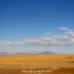 Wahiba Sands Desert Wonders Camp Oman | Travel Photography by Sebastian Motsch (2015)