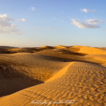 Wahiba Sands Desert Wonders Camp Oman | Travel Photography by Sebastian Motsch (2015)