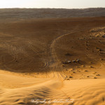 Wahiba Sands Desert Wonders Camp Oman | Travel Photography by Sebastian Motsch (2015)