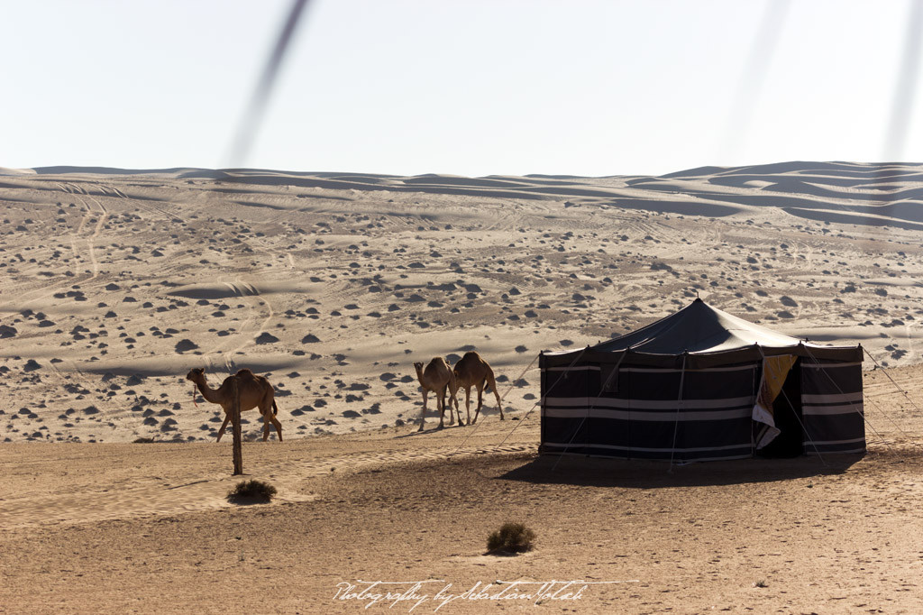 Wahiba Sands Desert Wonders Camp Oman | Travel Photography by Sebastian Motsch (2015)