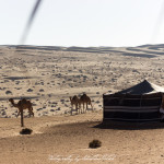 Wahiba Sands Desert Wonders Camp Oman | Travel Photography by Sebastian Motsch (2015)