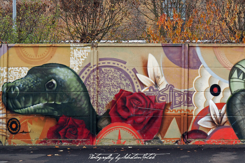 Street Art Graffitti in France Strasbourg Photo by Sebastian Motsch