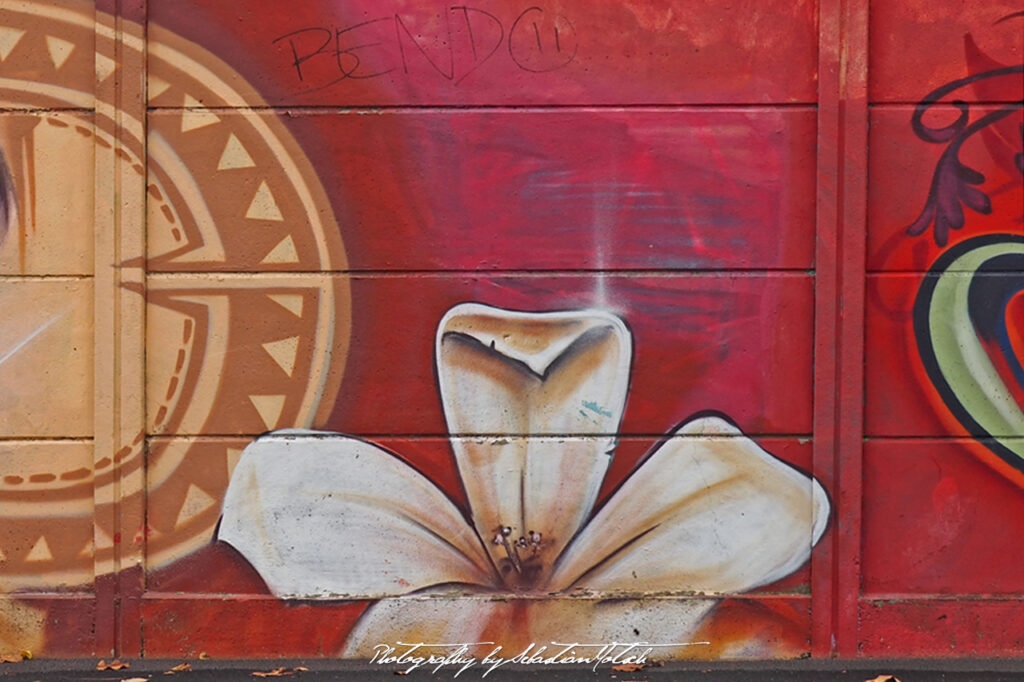 Street Art Graffitti in France Strasbourg Photo by Sebastian Motsch