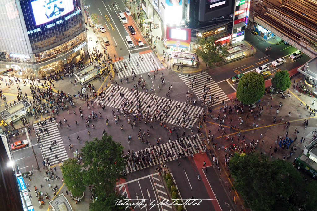 2017 Japan Tokyo Shibuya Crossing at Night | travel photography by Sebastian Motsch (2017)