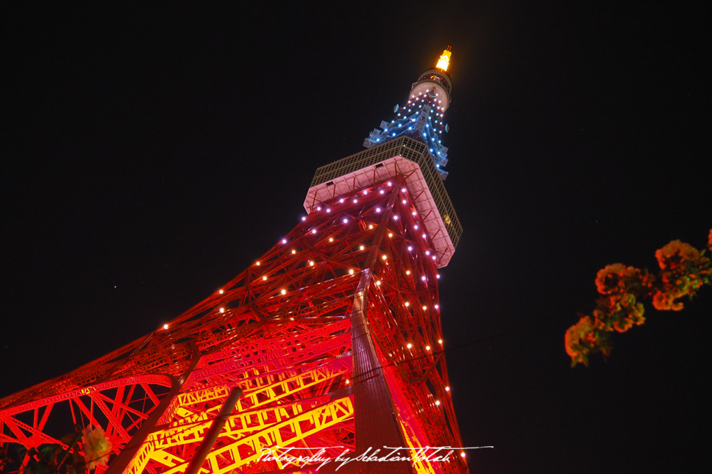 2017 Japan Tokyo Tower at Night | travel photography by Sebastian Motsch (2017)