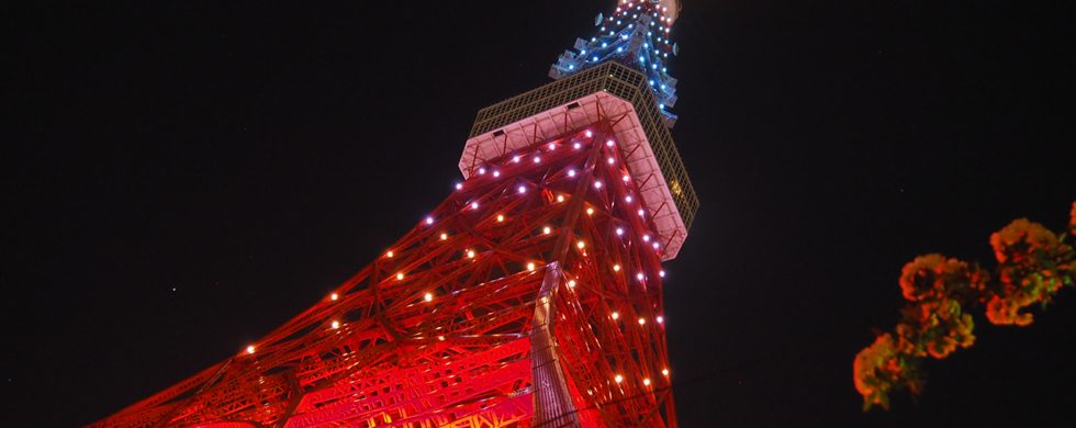 2017 Japan Tokyo Tower at Night | travel photography by Sebastian Motsch (2017)