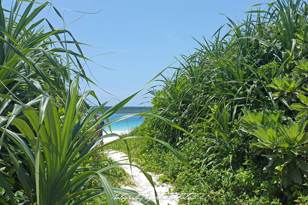 Japan Miyako-jima Yonaha Maehama Beach Photography by Sebastian Motsch