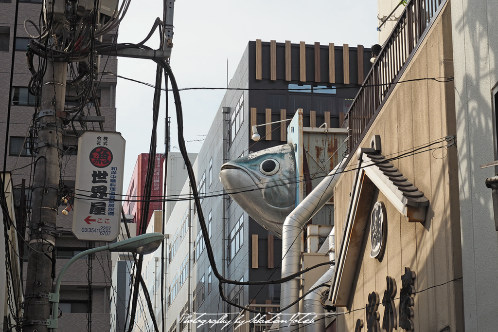 Japan Tokyo Tsukiji Fish Market | Travel Photography by Sebastian Motsch (2017)