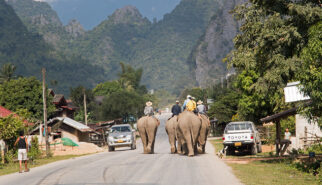 Elephant Convoy in a Town on Road 13 Laos Drive-by Snapshot by Sebastian Motsch