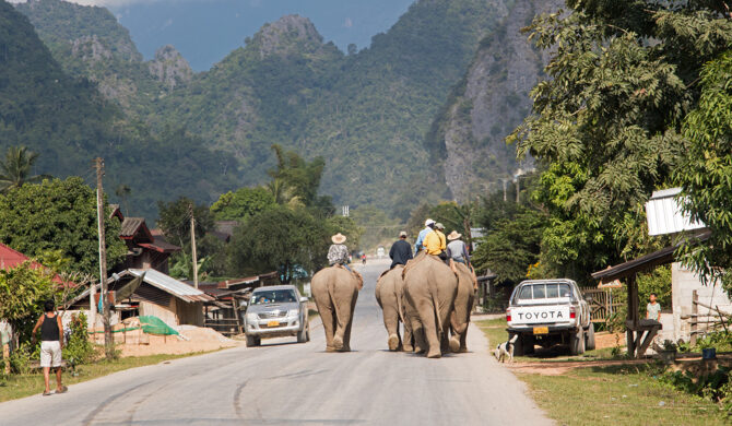Elephant Convoy in a Town on Road 13 Laos Drive-by Snapshot by Sebastian Motsch