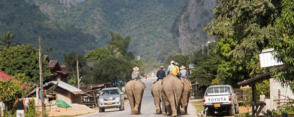 Elephant Convoy in a Town on Road 13 Laos Drive-by Snapshot by Sebastian Motsch