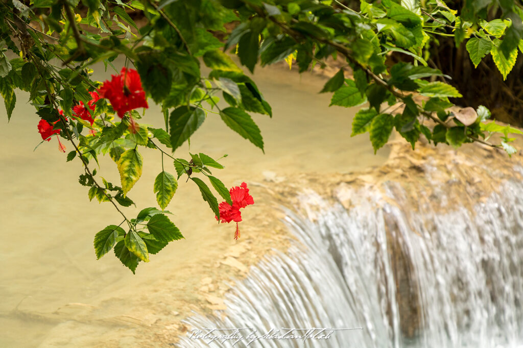 Laos Kuang Si Waterfalls Photo by Sebastian Motsch