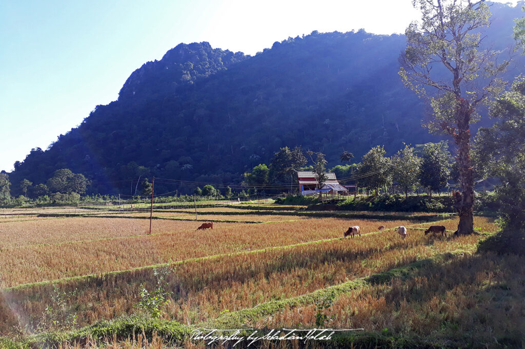Laos Vang Vieng Nam Xong River Photo by Sebastian Motsch