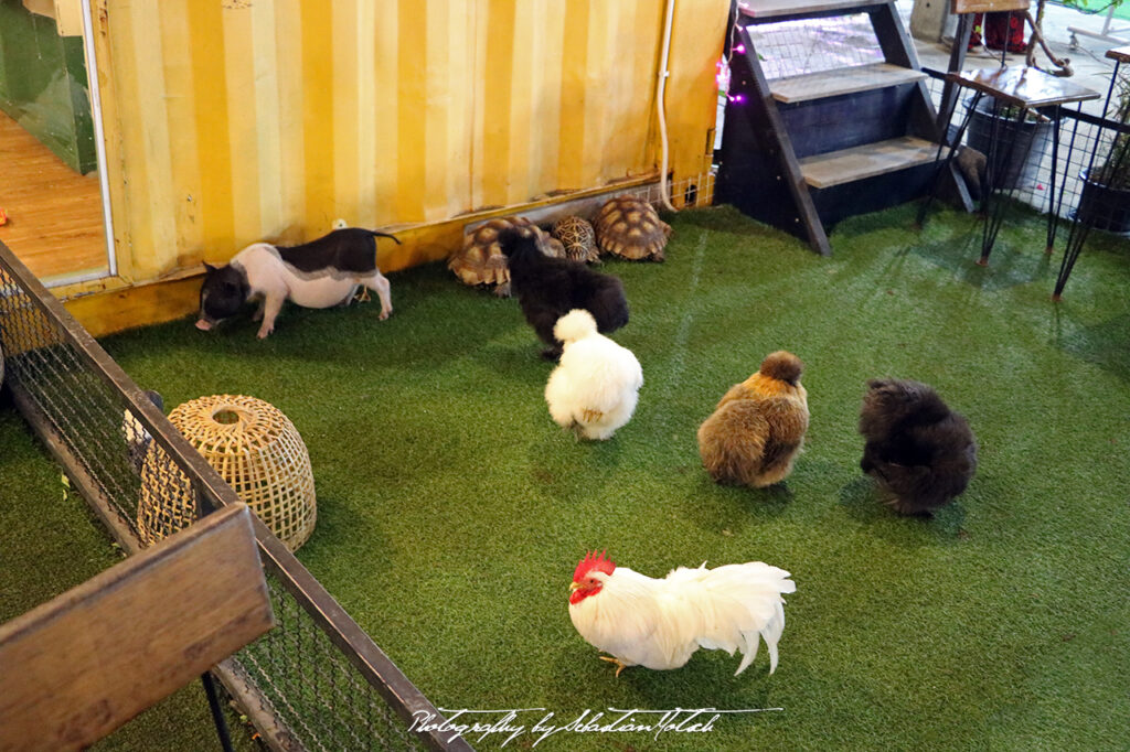 Neon Night Market Bangkok Photography by Sebastian