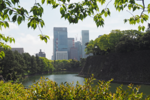 2017 Japan Tokyo Imperial Palace East Gardens | travel phootgraphy by Sebastian Motsch (2017)