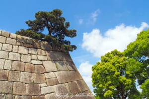 2017 Japan Tokyo Imperial Palace East Gardens | travel phootgraphy by Sebastian Motsch (2017)