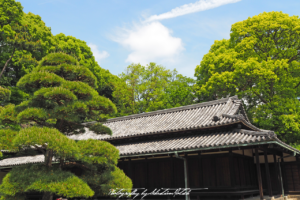 2017 Japan Tokyo Imperial Palace East Gardens | travel phootgraphy by Sebastian Motsch (2017)