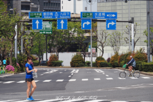 2017 Japan Tokyo Imperial Palace East Gardens | travel phootgraphy by Sebastian Motsch (2017)