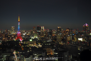 2017 Japan Tokyo Skyline Night | travel photography by Sebastian Motsch (2017)