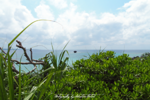 2017 Japan Miyako-jima Cape Nishihennazaki | Travel Photgraphy by Sebastian Motsch (2017)