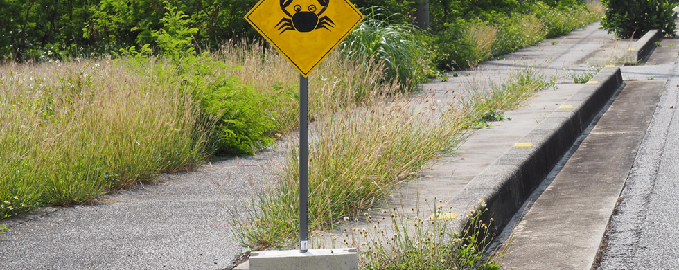 2017 Japan Miyakojima Sunayama Beach | Travel Photography by Sebastian Motsch (2017)