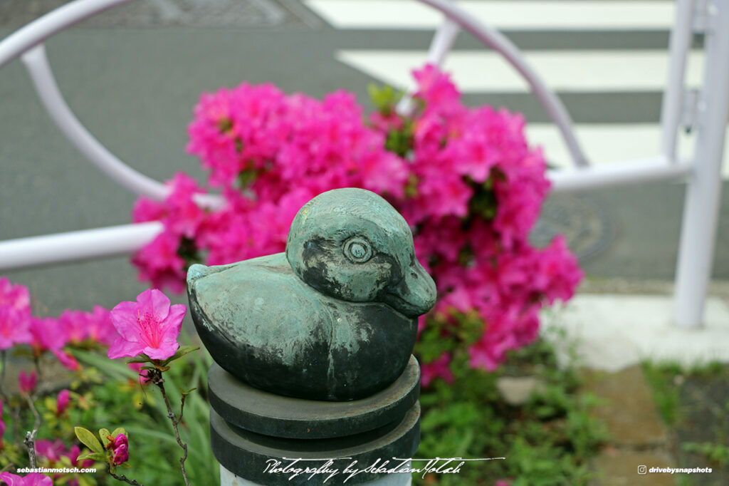 Japan Tokyo Meguro Yanagi Dori Duck Sculpture by Sebastian Motsch