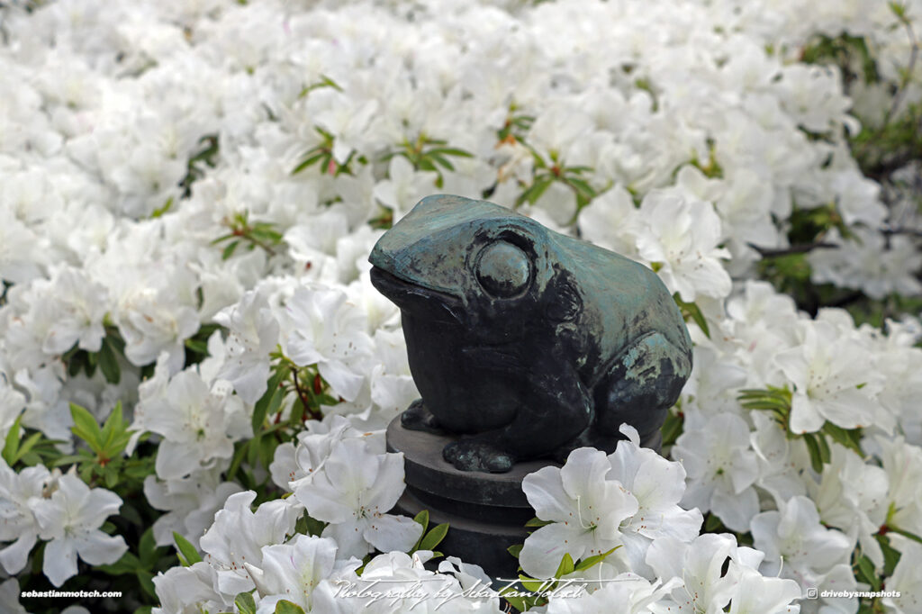 Japan Tokyo Meguro Yanagi Dori Frog Sculpture by Sebastian Motsch