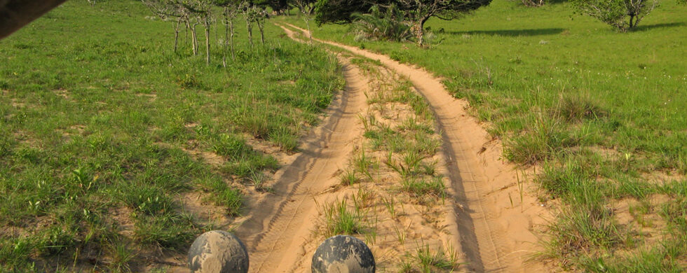 2007 South Africa Afrikar Tour | Photography by Sebastian Motsch