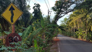 Thailand Surat Thani Road Photography by Sebastian Motsch