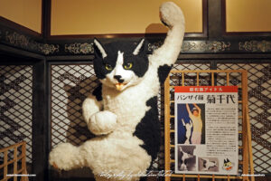 Japan Tokyo Meguro Cat Art Exhibition at Hotel Gajoen Kikuchiyo by Sebastian Motsch 01