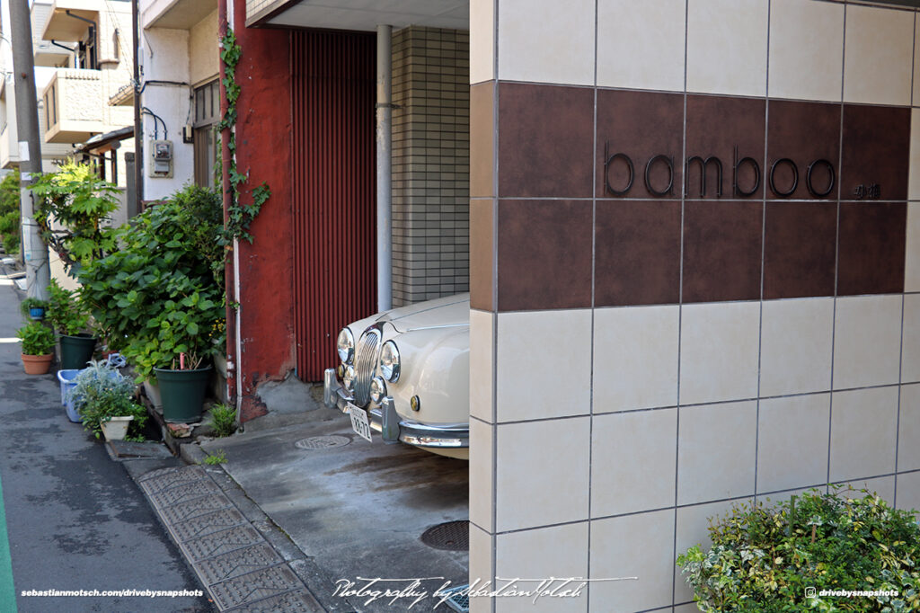 Japan Tokyo Sky Tree Misuoka Viewt Bamboo by Sebastian Motsch