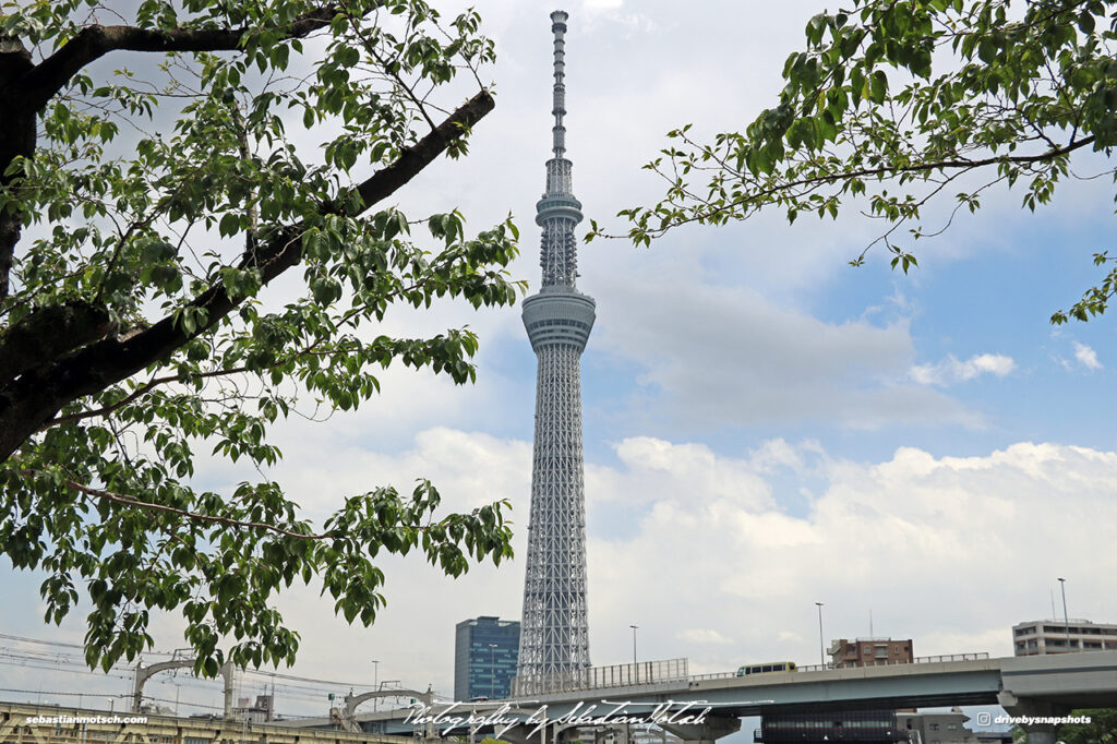 Japan Tokyo Skyline with Syk Tree by Sebastian Motsch