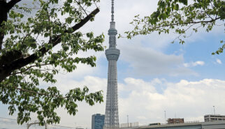 Japan Tokyo Skyline with Syk Tree by Sebastian Motsch