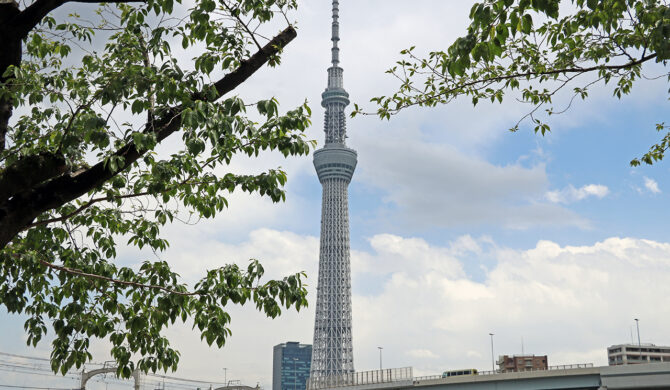 Japan Tokyo Skyline with Syk Tree by Sebastian Motsch