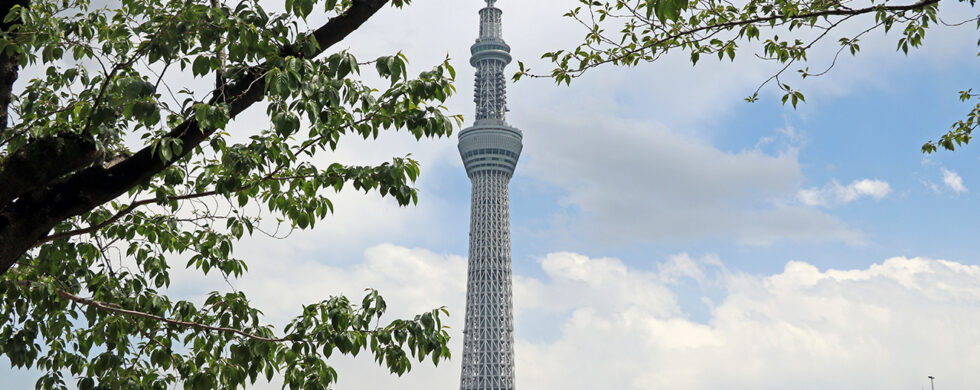 Japan Tokyo Skyline with Syk Tree by Sebastian Motsch