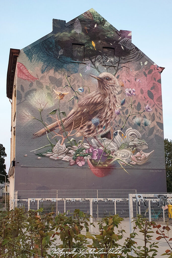 Graffitti in Maastricht NL by Sebastian Motsch