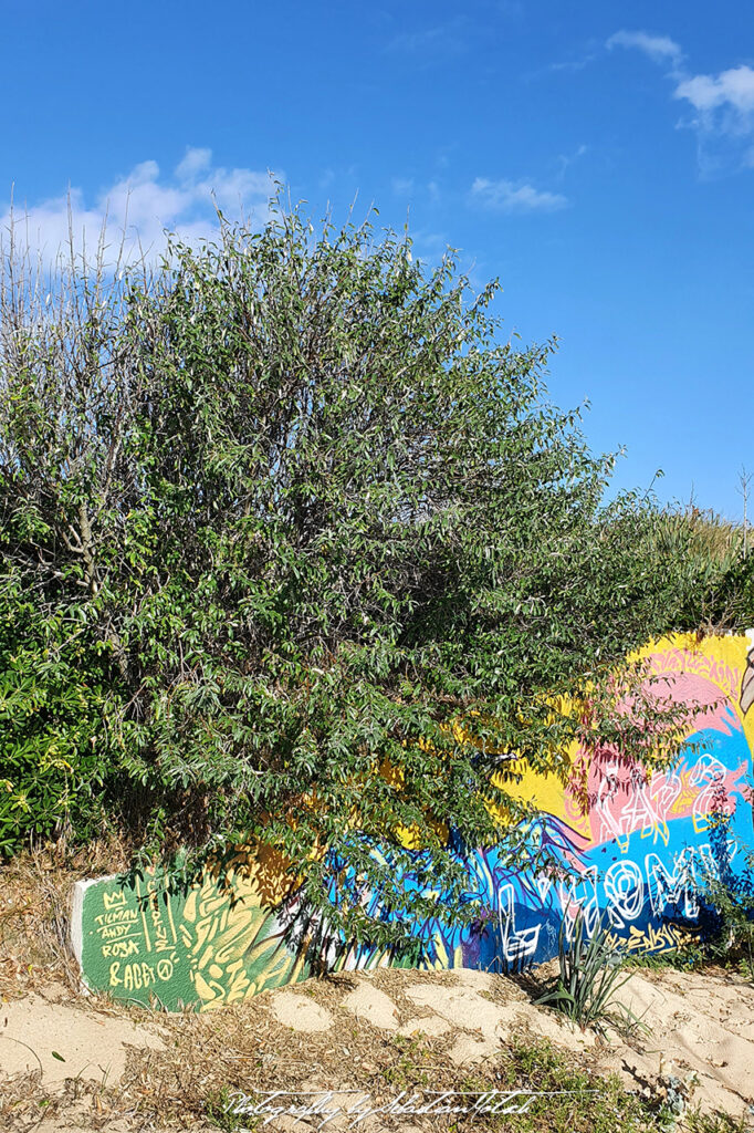 2021-09-19 France Cap de l'Homy Plage Photography by Sebastian Motsch