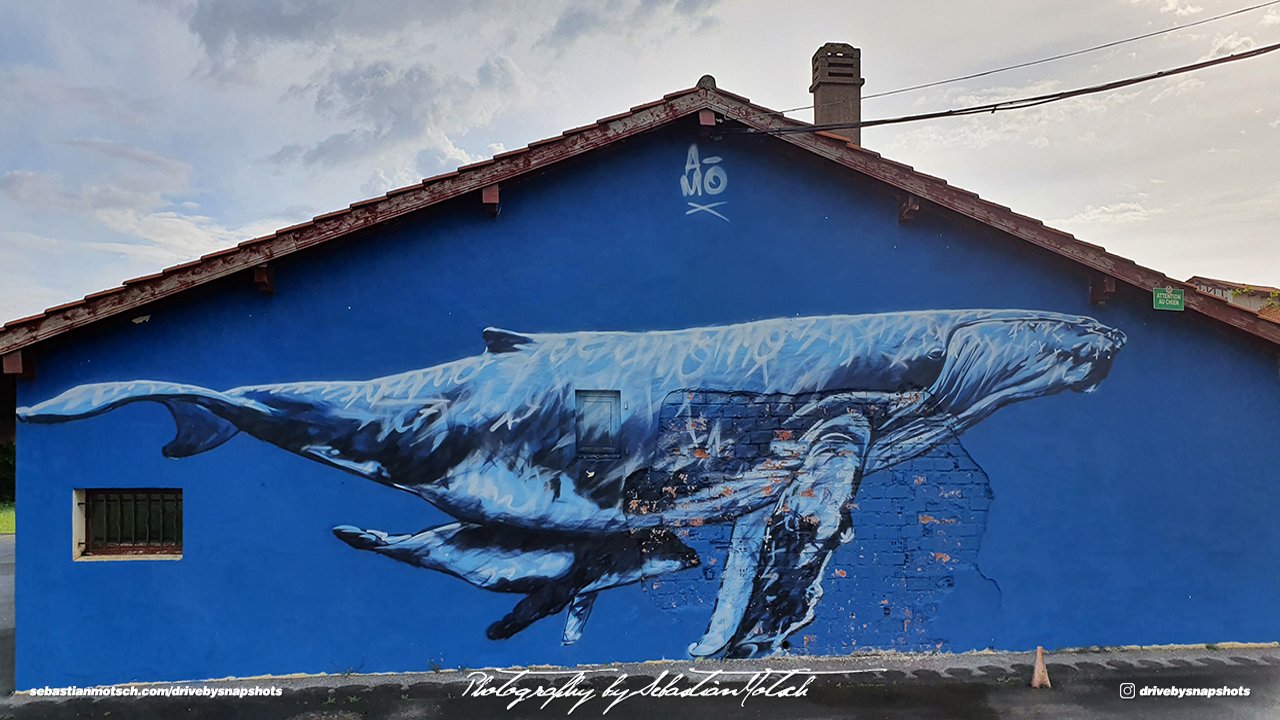 Whale Graffitti Bidart France Photo by Sebastian Motsch