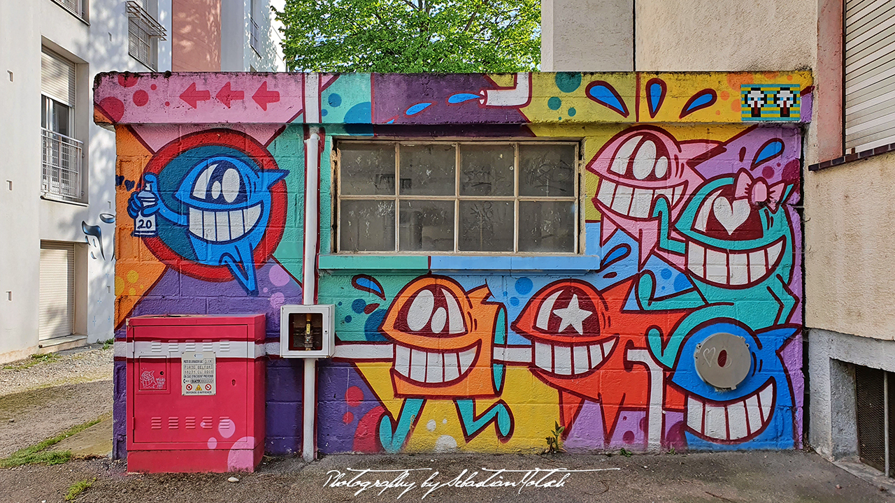 France Neuf-Brisach MAUSA Vauban Graffitti Streetart 34 Photo by Sebastian Motsch