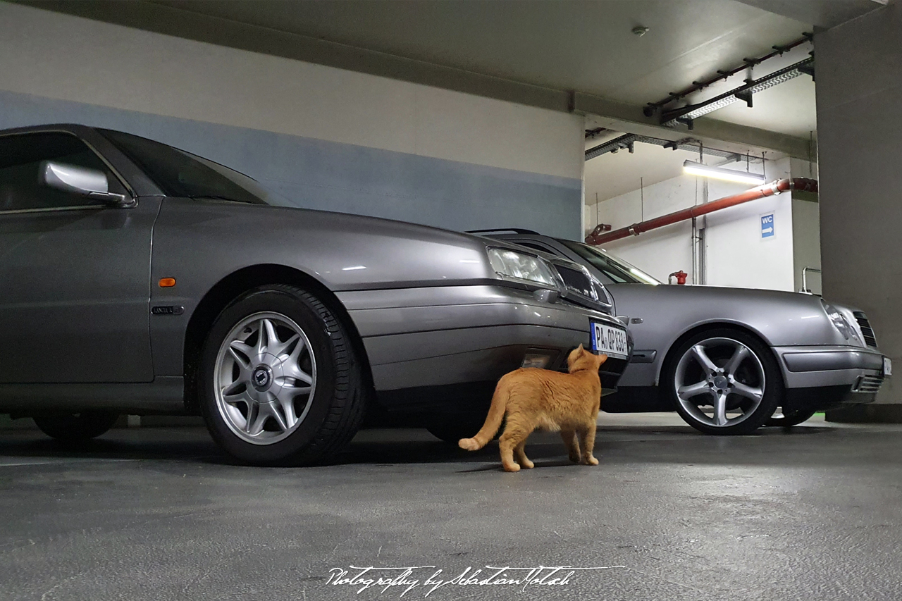 Lancia Kappa Coupé MB S210 and Cat Photo Photo by Sebastian Motsch