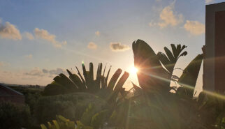 Corte Olea Resort Paceco Italia Photography by Sebastian Motsch