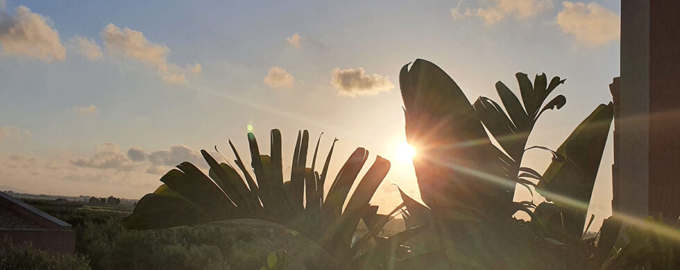 Corte Olea Resort Paceco Italia Photography by Sebastian Motsch