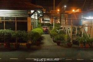 Thai Train Station with Pot Plants at Night Photo by Sebastian Motsch