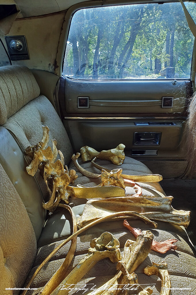 Corsica Venaco Cadillac Art Display Drive-by Snapshots by Sebastian Motsch