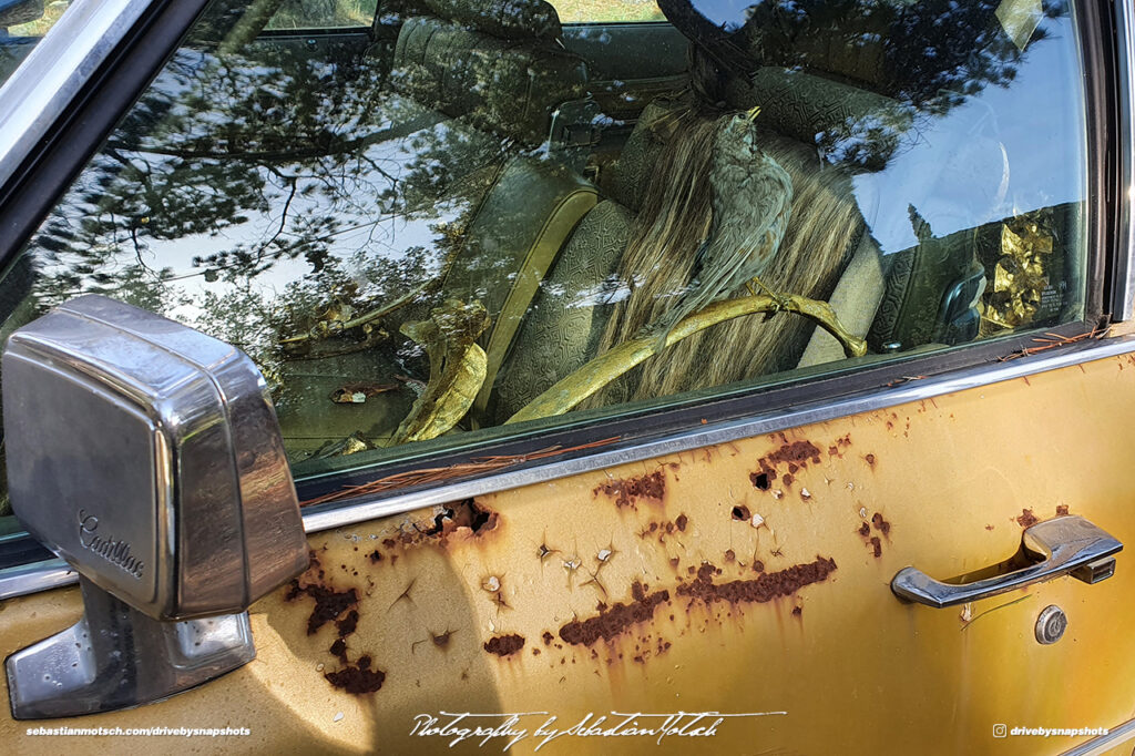 Corsica Venaco Cadillac Art Display Drive-by Snapshots by Sebastian Motsch