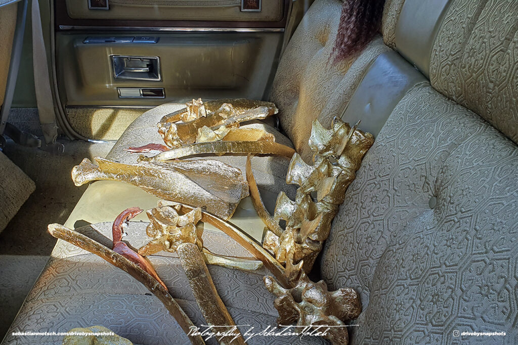 Corsica Venaco Cadillac Art Display Drive-by Snapshots by Sebastian Motsch