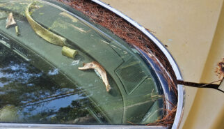 Corsica Venaco Cadillac Art Display Drive-by Snapshots by Sebastian Motsch