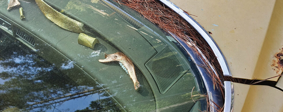 Corsica Venaco Cadillac Art Display Drive-by Snapshots by Sebastian Motsch