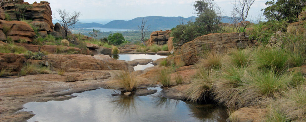 South Africa Mountain Sanctuary by Sebastian Motsch